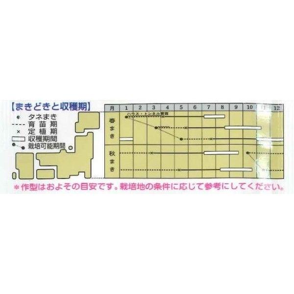 ねぎ ホワイトスター ペレット種子200粒 タキイ種苗（株） : グリーン
