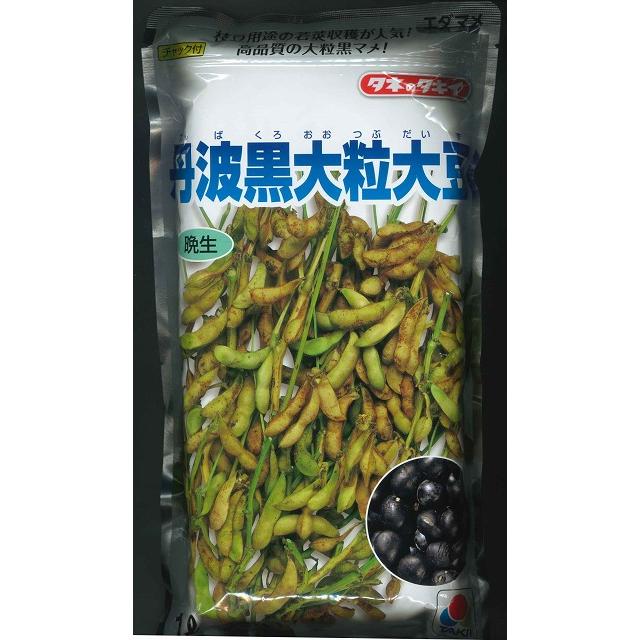 枝豆 丹波黒大粒大豆 1L タキイ種苗（株） : グリーンロフトネモト