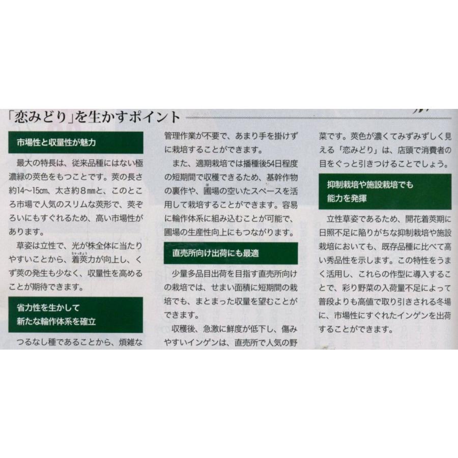 豆類 いんげん 恋みどり 1dl タキイ交配 根菜、豆類、もやし 種 野菜たね ヨーロッパ野菜 菜類 エルバステラ 1袋(2ml) 野菜たね YTC67