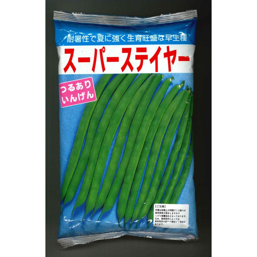 いんげん10キロ いんげん スーパーステイヤー 1L (10％増量)ヴィルモランみかど（株