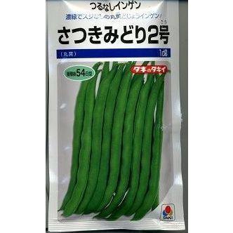 いんげん さつきみどり2号 1dl(約270粒) タキイ種苗（株） : グリーン