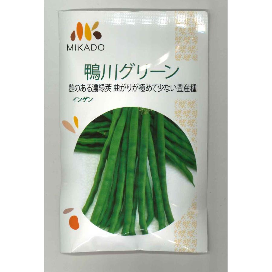 いんげん 鴨川グリーン 30ml ヴィルモランみかど（株） : グリーン