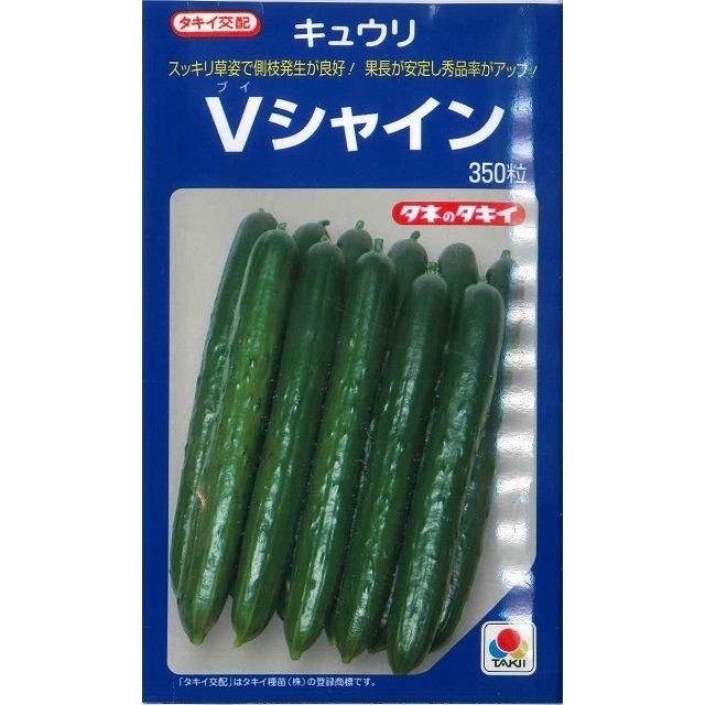 キュウリページ きゅうり Vシャイン 350粒 タキイ種苗（株） : グリーンロフトネモト