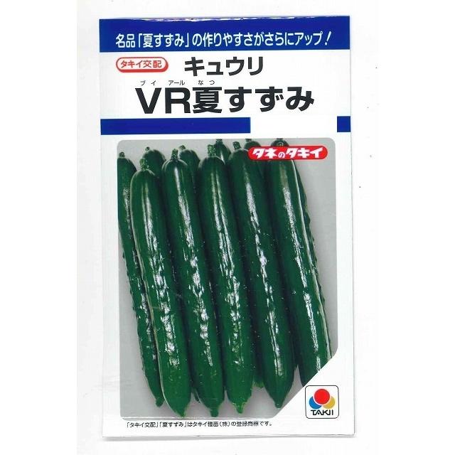 きゅうり VR夏すずみ 13粒 タキイ種苗（株） DF : グリーンロフト