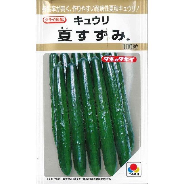 きゅうり 夏すずみ 100粒 タキイ種苗（株） : グリーンロフトネモト
