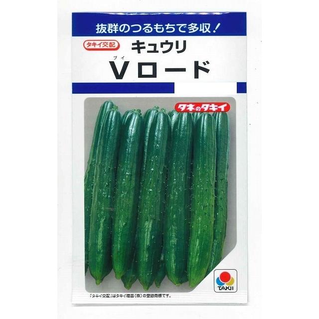 きゅうり Vロード 10粒 タキイ種苗（株） DF : グリーンロフトネモト