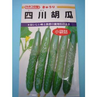 きゅうり 四川胡瓜 350粒 カネコ種苗（株）