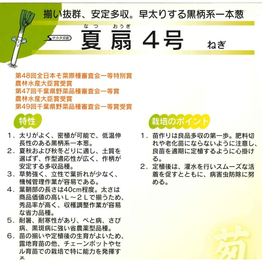 サカタのタネ（サカタノタネ） ねぎ 夏扇4号 ペレット種子 6000粒 （株