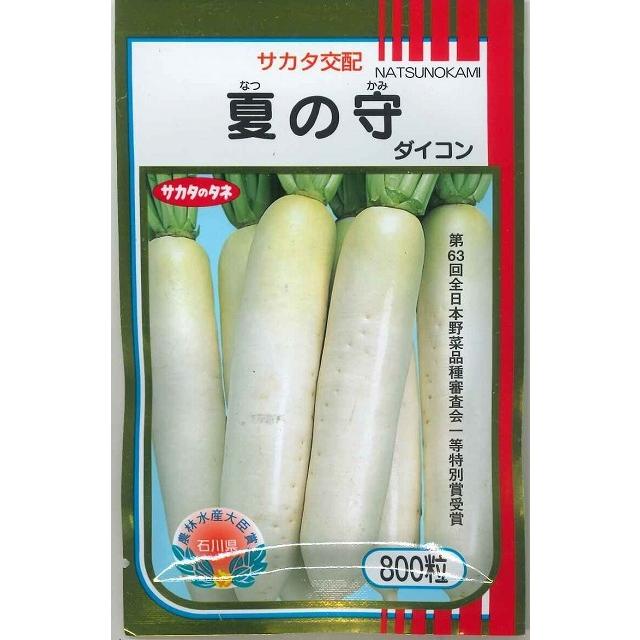 サカタのタネ（サカタノタネ） 大根 夏の守 800粒 （株）サカタのタネ