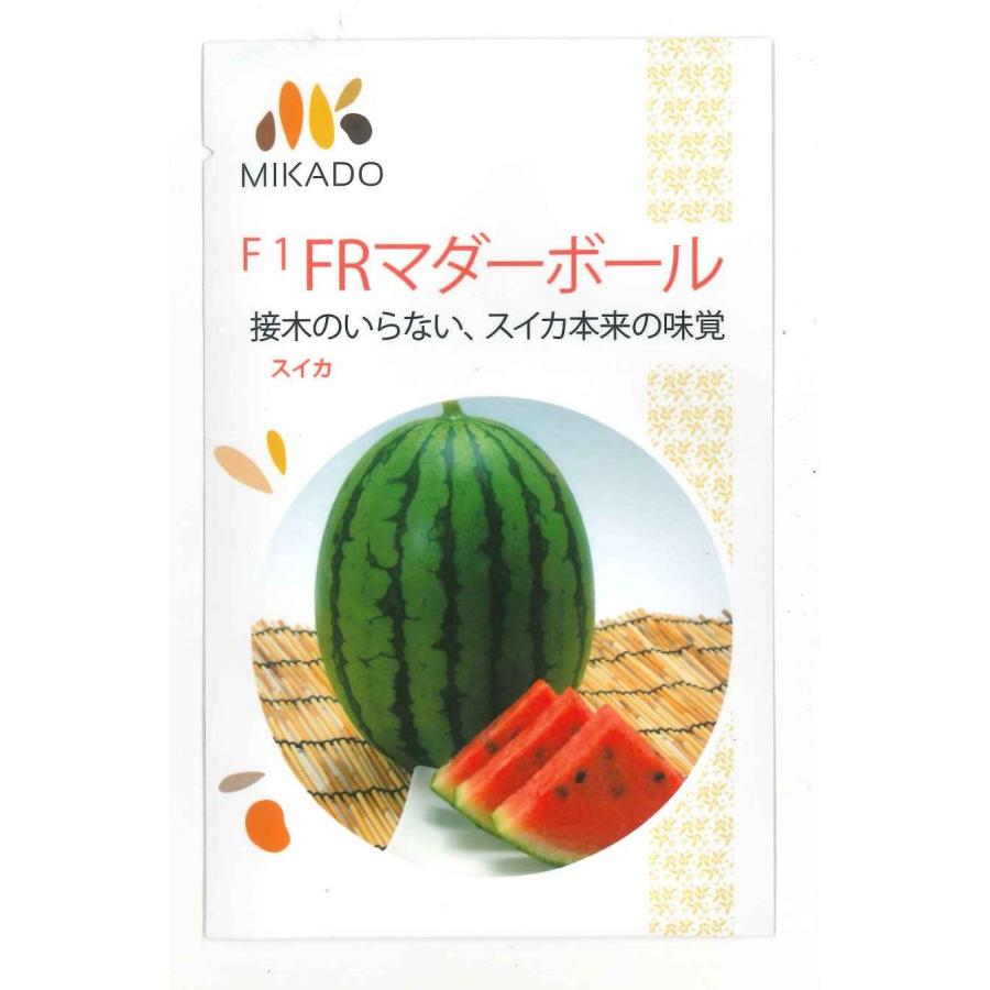 スイカ FRマダーボール 8粒 ヴィルモランみかど : グリーンロフト