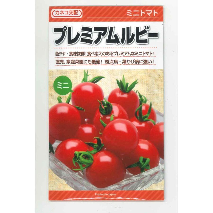 即発送可能 送料無料 ミニトマト プレミアムルビー 1000粒 カネコ交配 全ての Www Technet 21 Org
