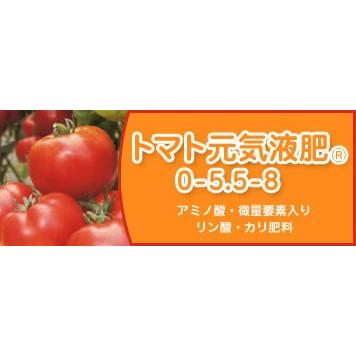 肥料 リン酸 カリ肥料 トマト元気液肥 kg タキイ種苗 グリーンロフトネモト 通販 Yahoo ショッピング