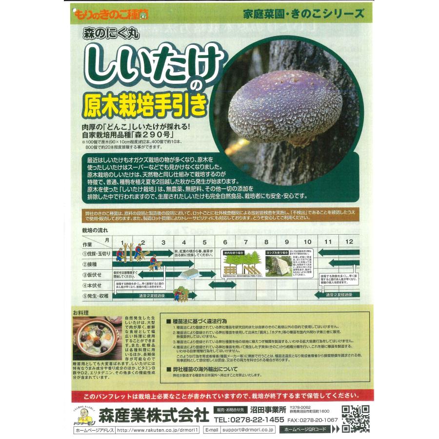 しいたけ菌 肉丸 1000個入り : グリーンロフトネモト - 通販 - Yahoo