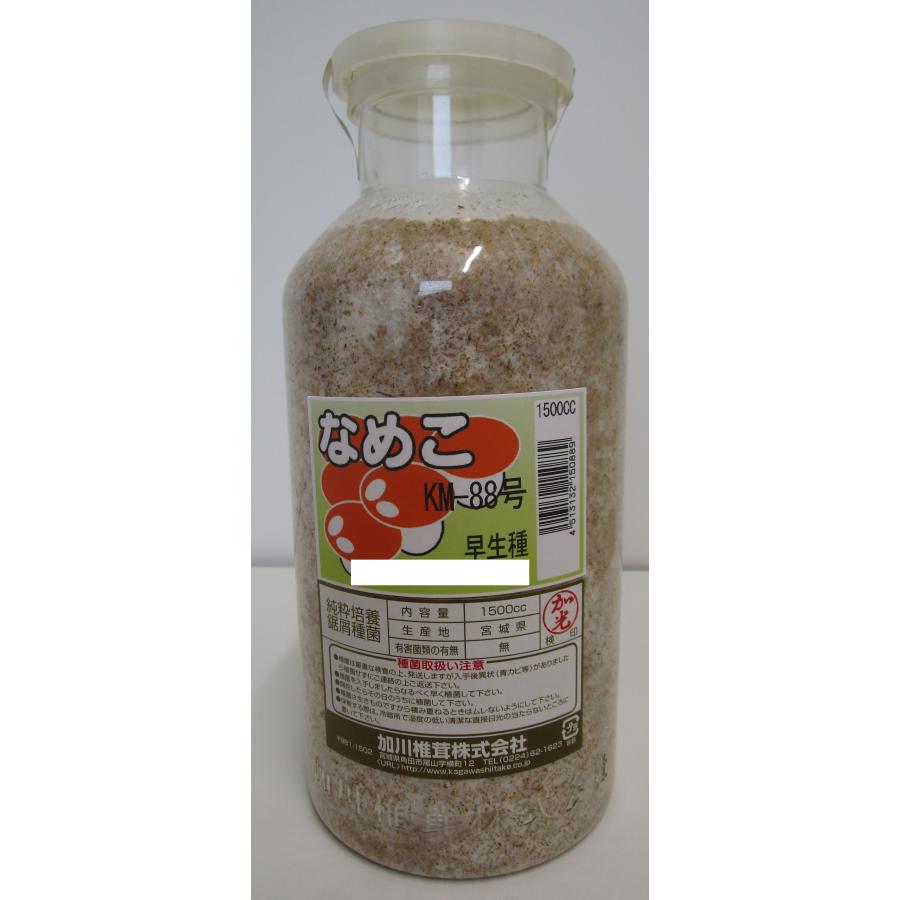 きのこ菌 なめこ953(1000cc)鋸屑 : グリーンロフトネモト - 通販