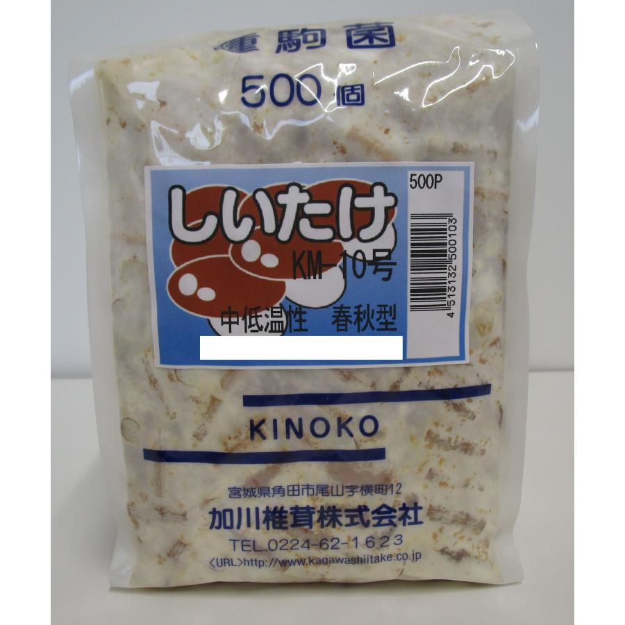 きのこ菌 しいたけ菌 KM-10号（春秋） 500駒 加川椎茸（株