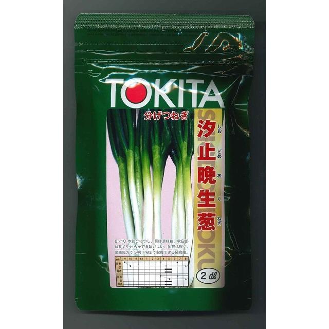 ねぎ 汐止晩生葱 2dl トキタ種苗 : グリーンロフトネモト - 通販