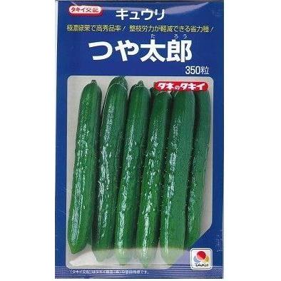 きゅうり つや太郎 350粒 タキイ種苗（株） : グリーンロフトネモト