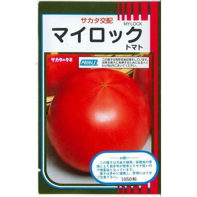 送料無料！大玉トマト　マイロック　1000粒　（株）サカタのタネ