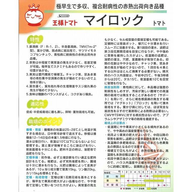 送料無料！大玉トマト　マイロック　1000粒　（株）サカタのタネ 