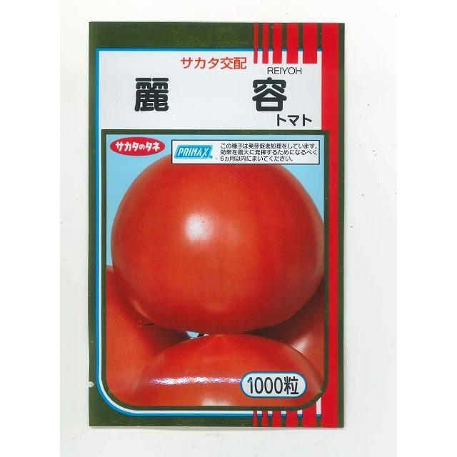 大玉 トマト 麗容 1000粒 （株）サカタのタネ