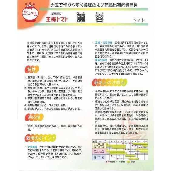 大玉 トマト 麗容 1000粒 （株）サカタのタネ_1
