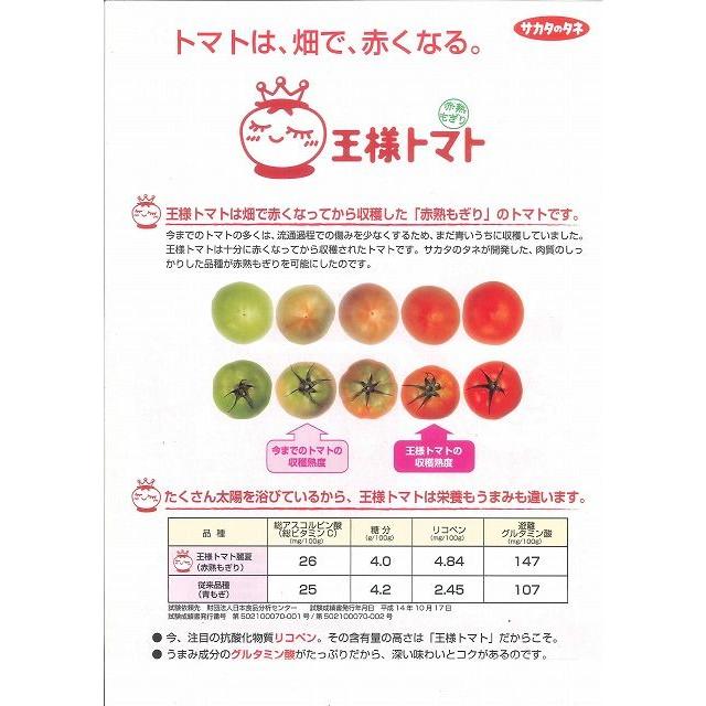 大玉 トマト 麗容 1000粒 （株）サカタのタネ_2