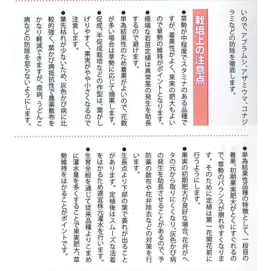 [大特価] 送料無料！大玉トマト　パルト　1000粒　（株）サカタのタネ 【2835558920】(14256円)