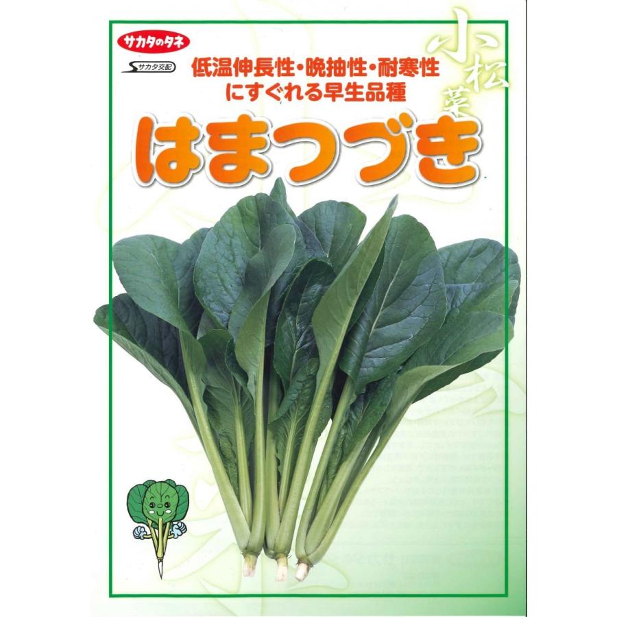 サカタのタネ（サカタノタネ） 小松菜 はまつづき 2dl （株）サカタの
