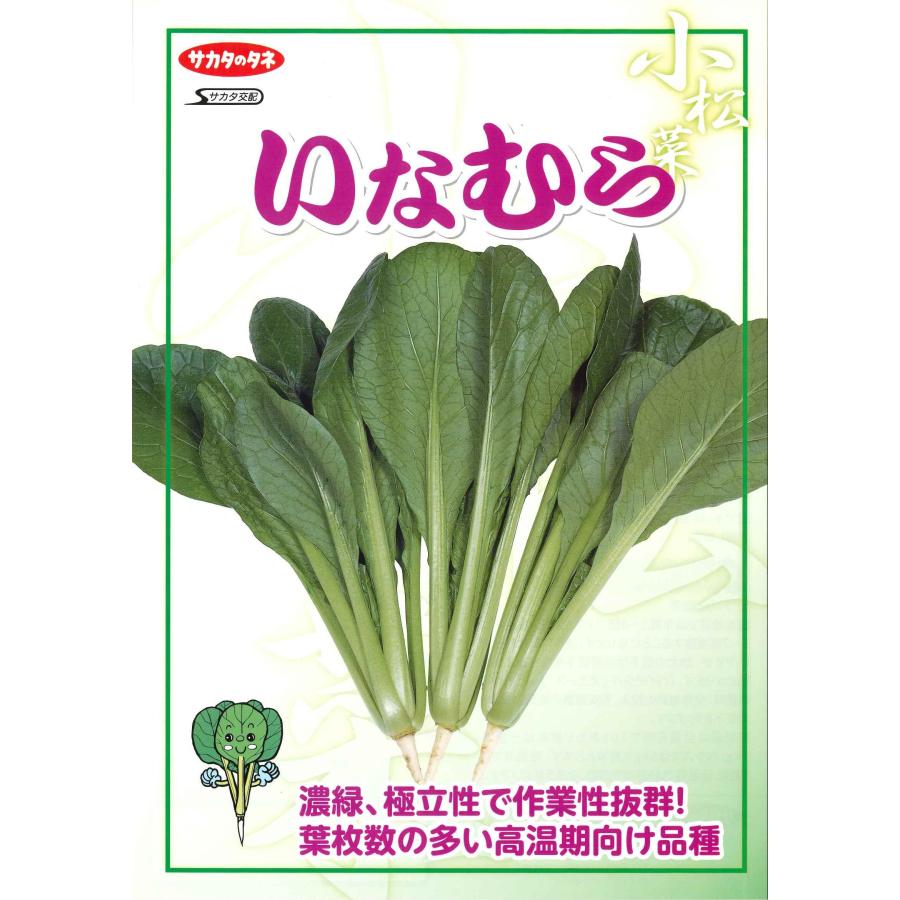 サカタのタネ（サカタノタネ） 小松菜 いなむら 2dl （株）サカタの