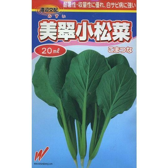 小松菜 美翠 20ml 渡辺農事（株） : グリーンロフトネモト - 通販