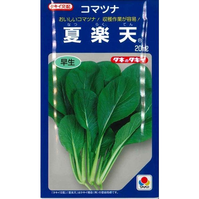 小松菜 夏楽天 20ml タキイ種苗（株） : グリーンロフトネモト - 通販