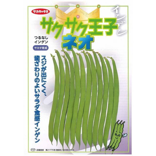 サカタのタネ（サカタノタネ） つるなしいんげん サクサク王子ネオ 1dl