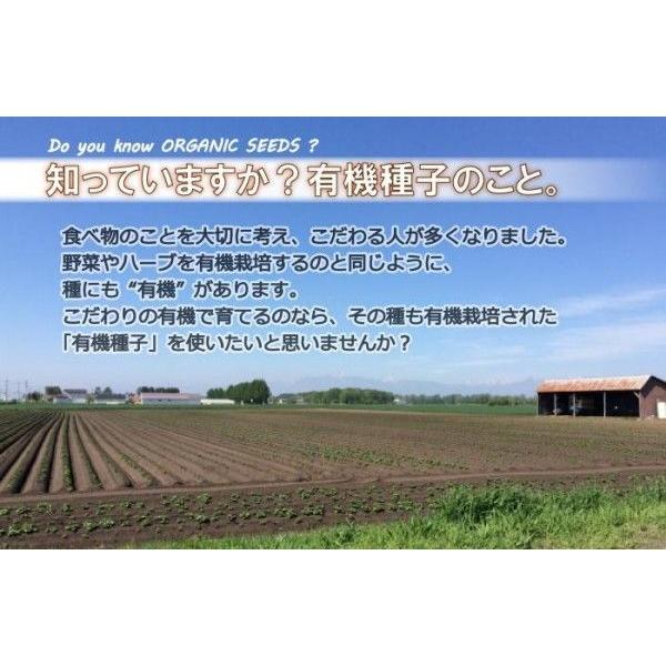 有機種子 バジル(スイートバジル) 固定種 0.5g グリーンフィールド