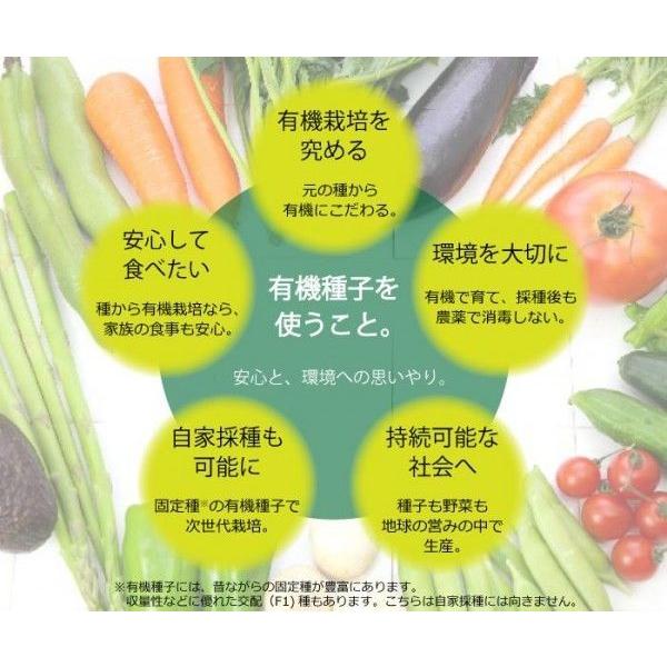 有機種子 バジル(スイートバジル) 固定種 0.5g グリーンフィールド