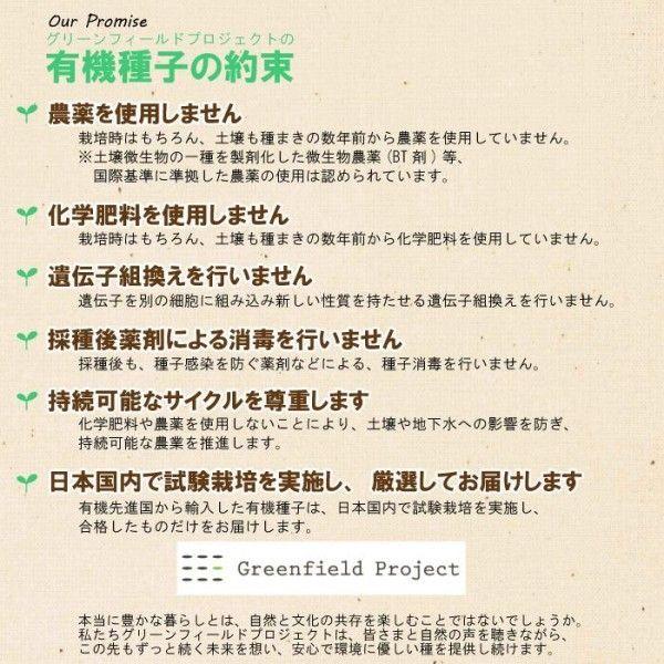 有機種子 バジル(スイートバジル) 固定種 0.5g グリーンフィールド