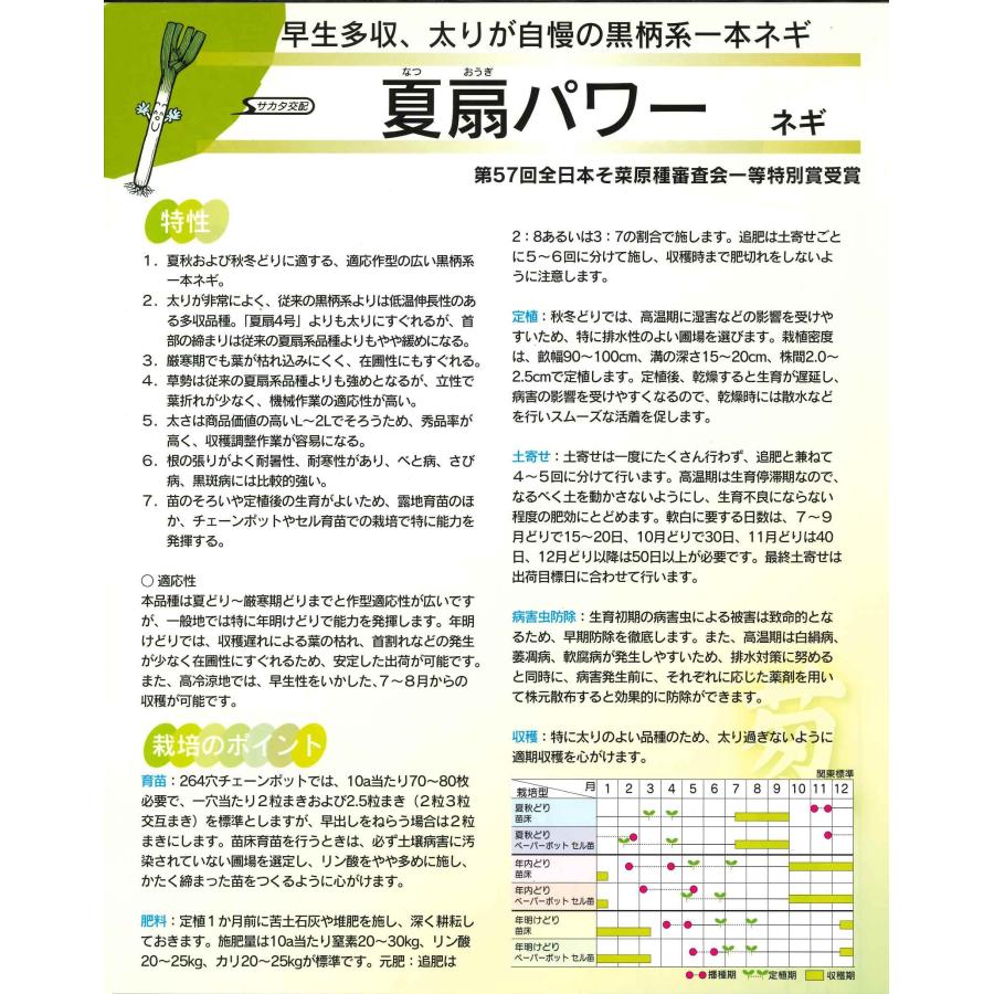 ねぎ 夏扇パワー 1dl (裸種子)（株）サカタのタネの画像