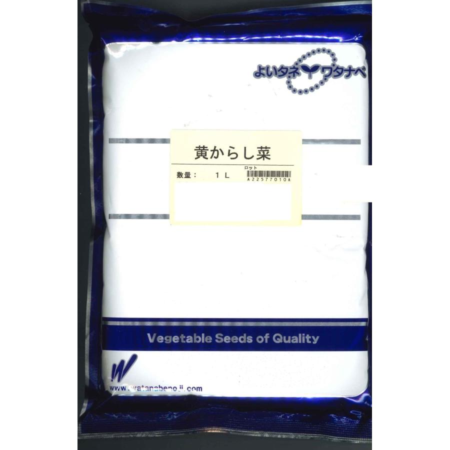 黄からし菜 1L : グリーンロフトネモト - 通販 - Yahoo!ショッピング