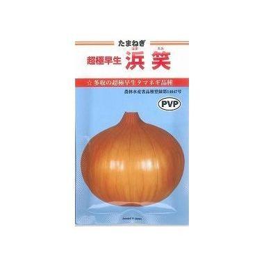 たまねぎ 浜笑 20ml カネコ種苗（株） : グリーンロフトネモト - 通販