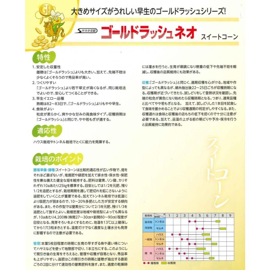サカタのタネ（サカタノタネ） とうもろこし ゴールドラッシュ ネオ