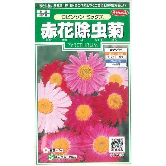 花の種 赤花除虫菊 ロビンソンミックス 約124粒 サカタのタネ 実咲0 7038 グリーンロフトネモト 通販 Yahoo ショッピング