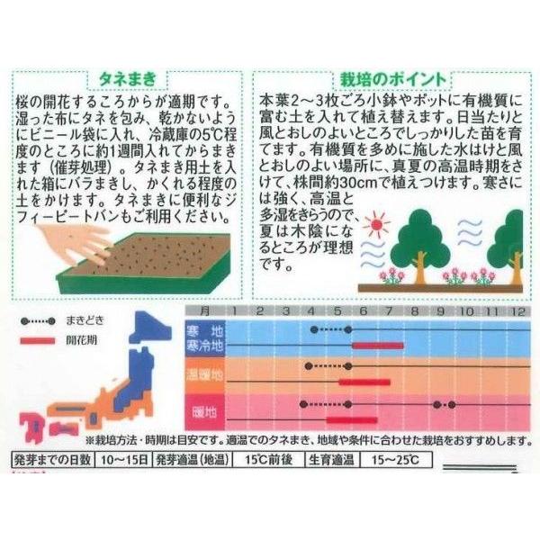 花の種赤花除虫菊 ロビンソンミックス 約124粒 サカタのタネ 実咲0 7038 グリーンロフトネモト 通販 Yahoo ショッピング