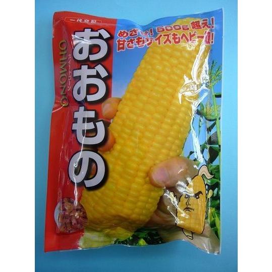 とうもろこし おおもの 2000粒 ナント種苗 : グリーンロフト とうもろこし おおもの 2000粒 ナント種苗 : グリーンロフト