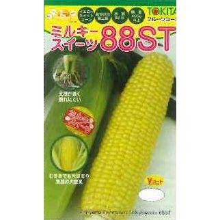 とうもろこし わくわくコーンTM86スーパー(KAB-913)[とうもろこし] - e-種や｜国内