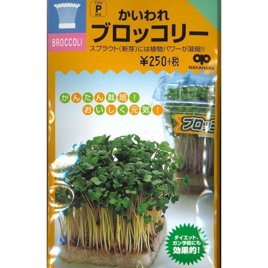 ブロッコリー スプラウト かいわれ