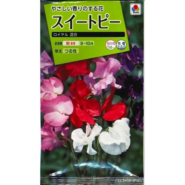 花の種スイートピー ロイヤル混合 タキイ交配 ｎｌ0 グリーンロフトネモト 通販 Yahoo ショッピング