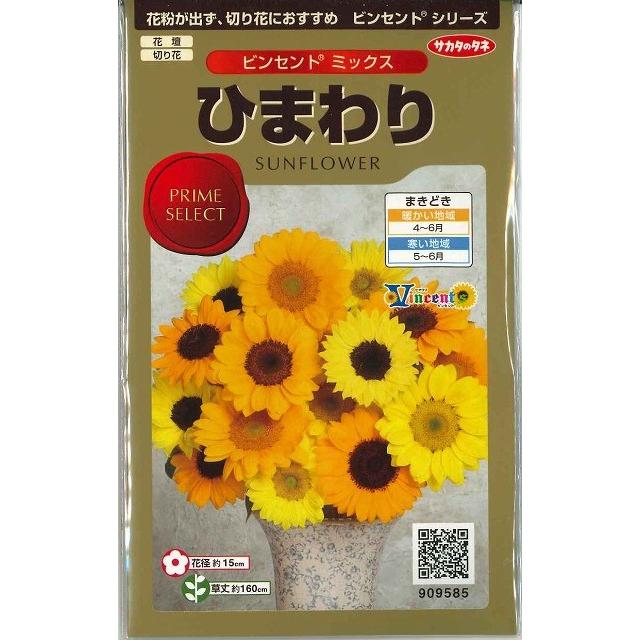 ひまわり サカタのタネ（サカタノタネ） 花の種 ひまわり ビンセント ミックス