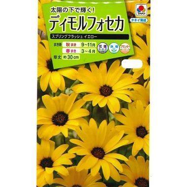 花の種 ディモルフォセカスプリングフラッシュイエロー 2ml タキイ種苗