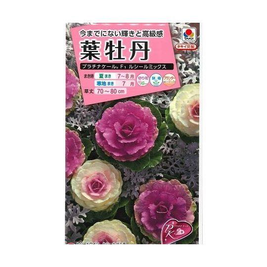 花の種 プラチナケールf1ルシールミックス 15粒 タキイ種苗 ｎｌ300 グリーンロフトネモト 通販 Yahoo ショッピング