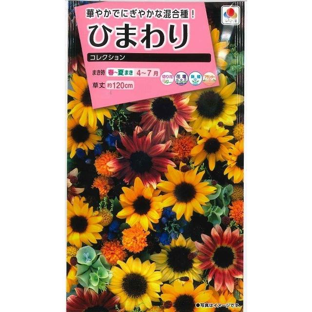 花の種 ひまわり コレクション 小袋 タキイ種苗（株）(NL300