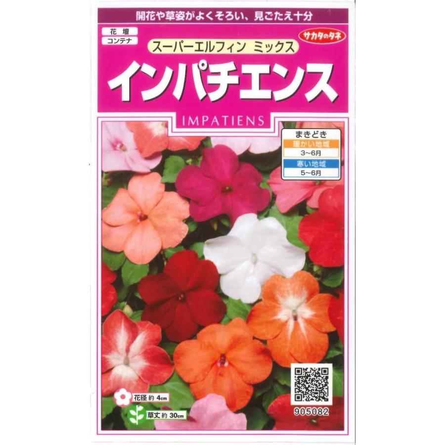 おすすめ特集 花の種 インパチェンス スーパーエルフィンミックス 約25粒 サカタのタネ 実咲300
